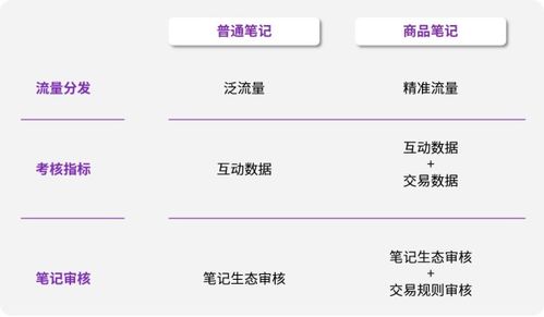 小红书代运营公司揭秘 三步种草策略，助力店铺快速起盘的数字内容制作艺术